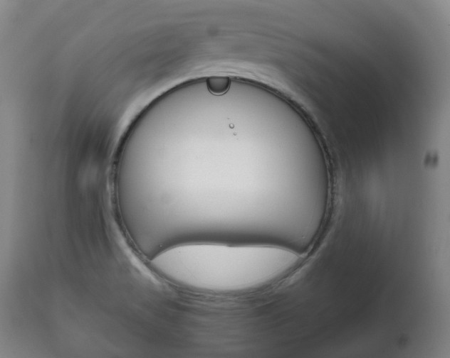X0000111781517200907230937