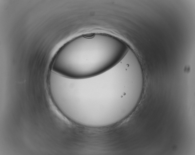 X0000111781518200907230937
