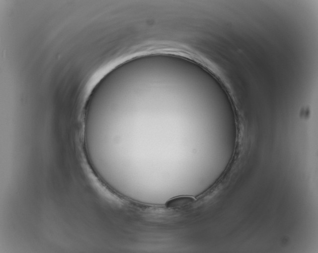 X0000111781520200907230937