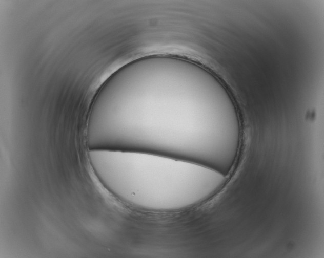 X0000111781521200907230937