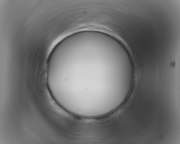 X0000111781522200907230937