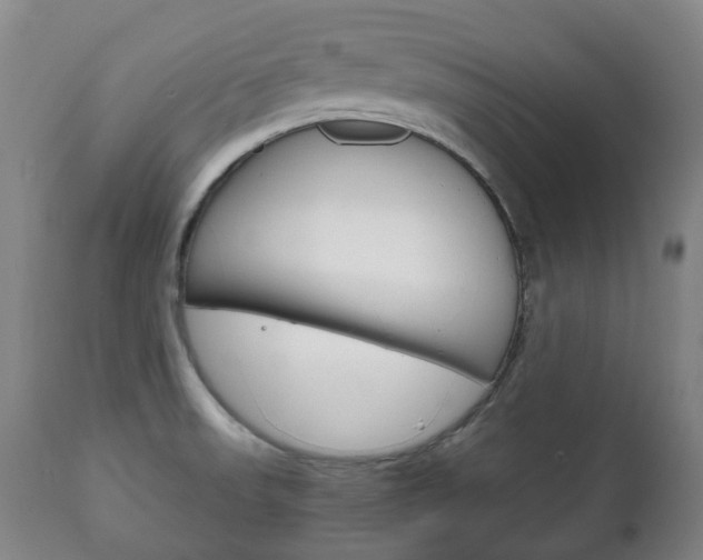 X0000111781523200907230937