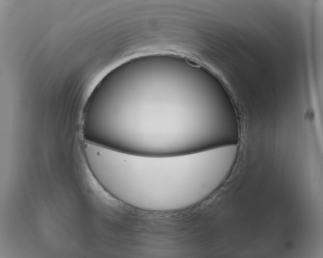 X0000111781524200907230937