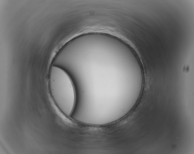 X0000111781525200907230937