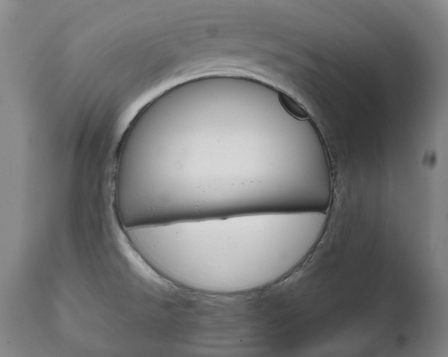 X0000111781526200907230937