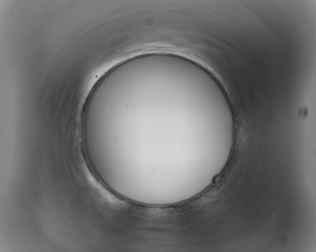 X0000111781527200907230937