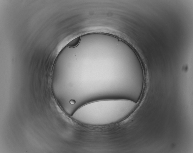 X0000111781529200907230937