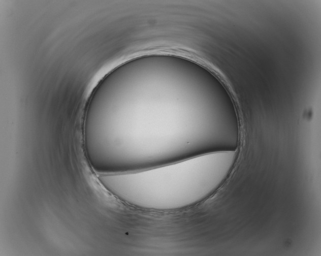X0000111781530200907230937
