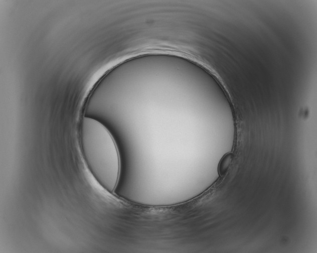 X0000111781531200907230938