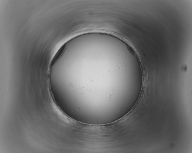 X0000111781532200907230938
