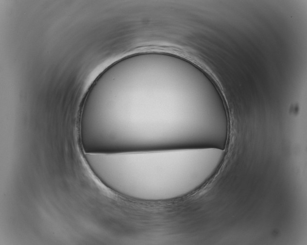 X0000111781533200907230938