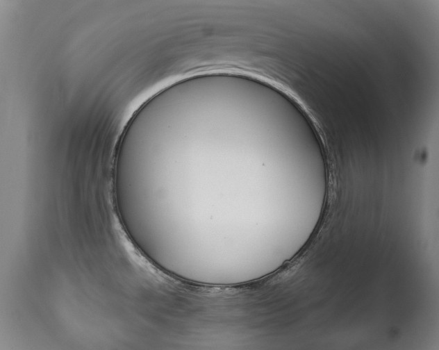 X0000111781534200907230938