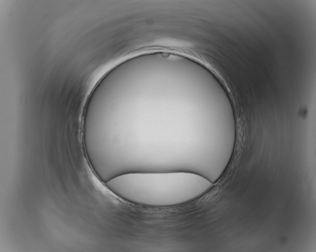 X0000111781535200907230938