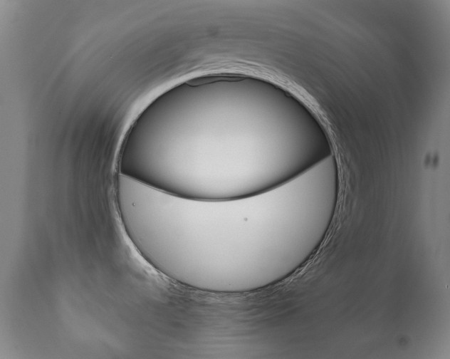 X0000111781536200907230938