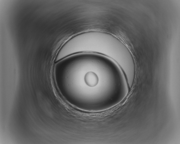 X0000111780001200907231132