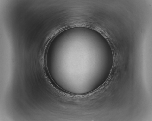 X0000111780002200907231132