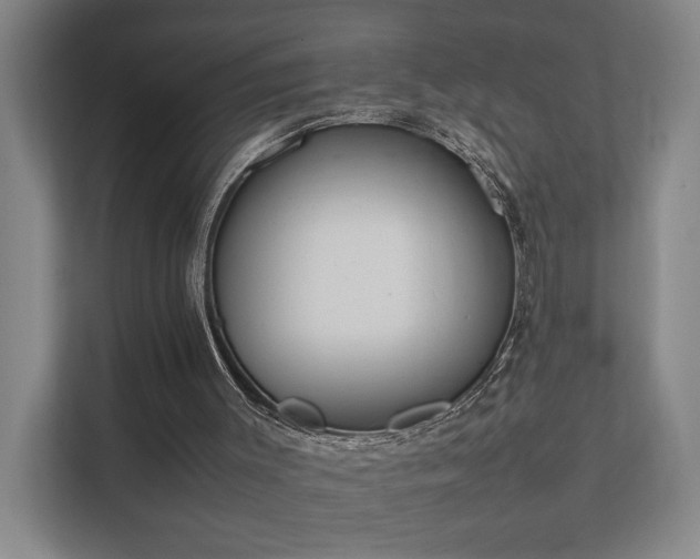 X0000111780003200907231132