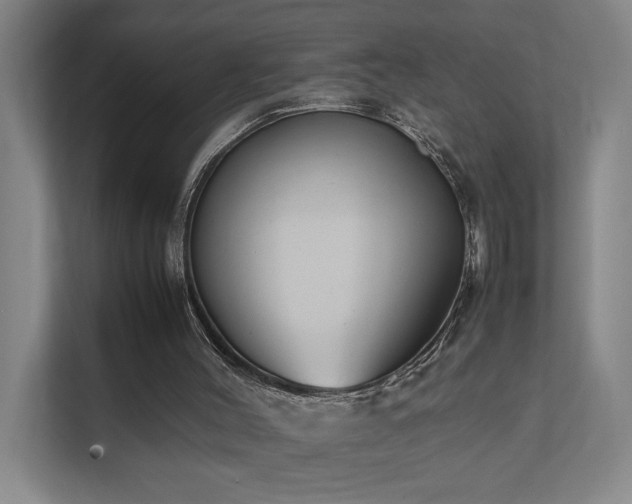 X0000111780004200907231132
