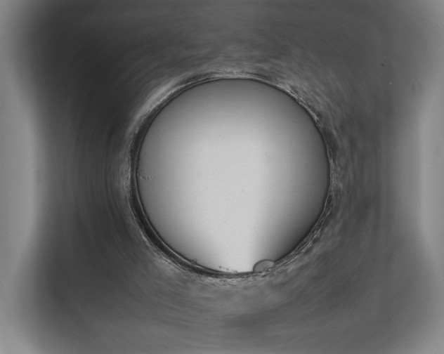X0000111780005200907231132