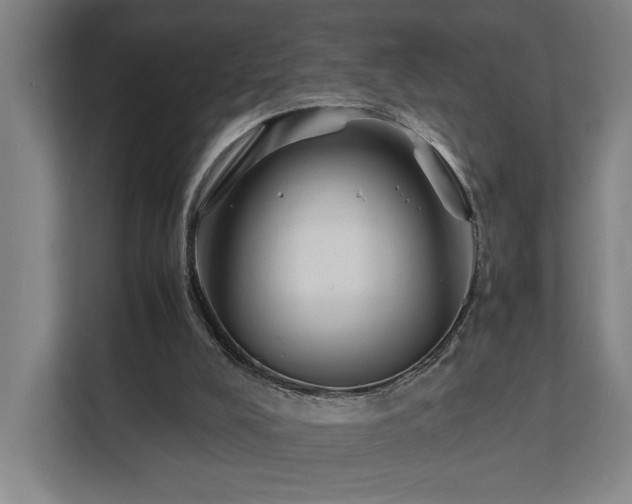X0000111780008200907231132