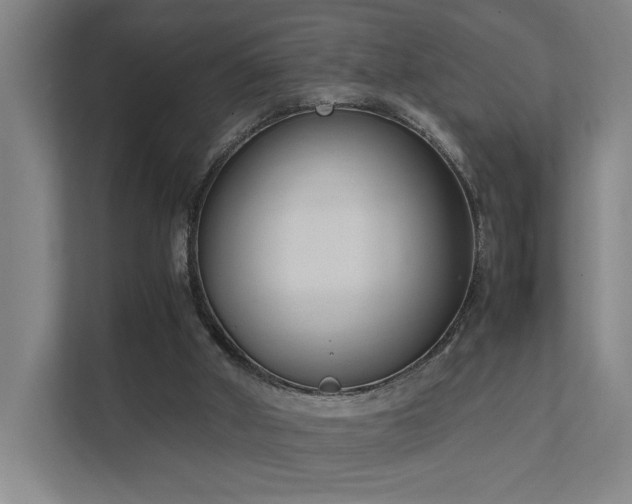 X0000111780010200907231132