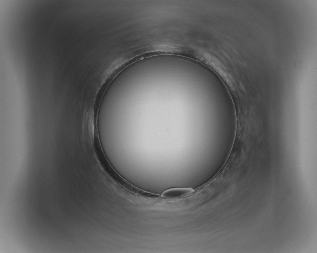 X0000111780011200907231132