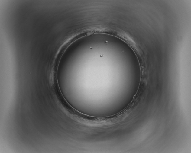 X0000111780012200907231132
