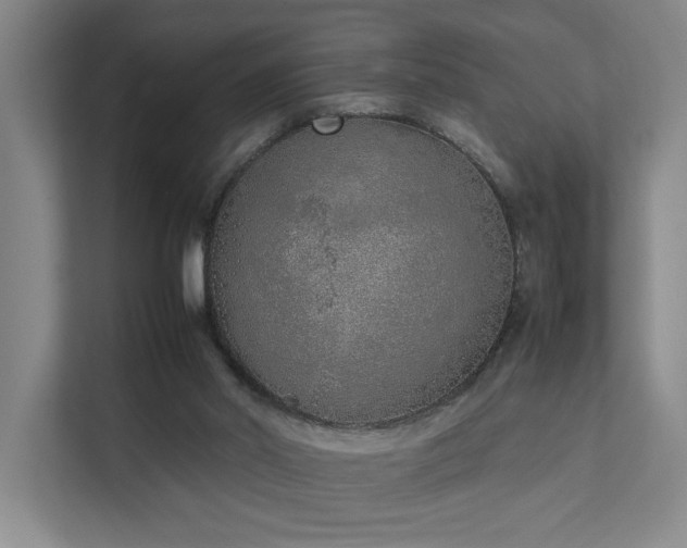 X0000111780014200907231132