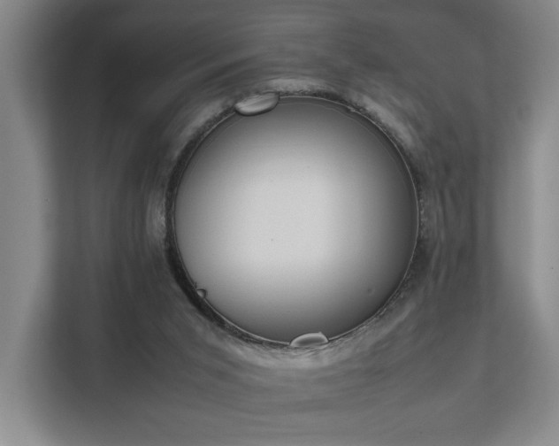 X0000111780015200907231132