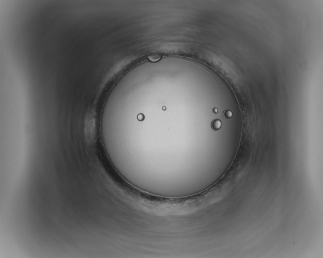 X0000111780016200907231132