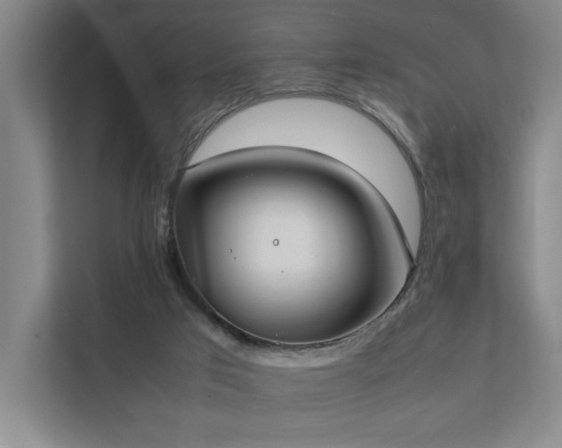 X0000111780017200907231132