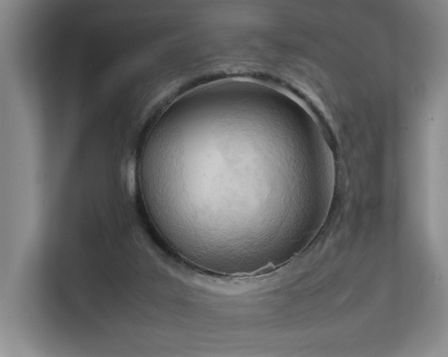X0000111780019200907231132
