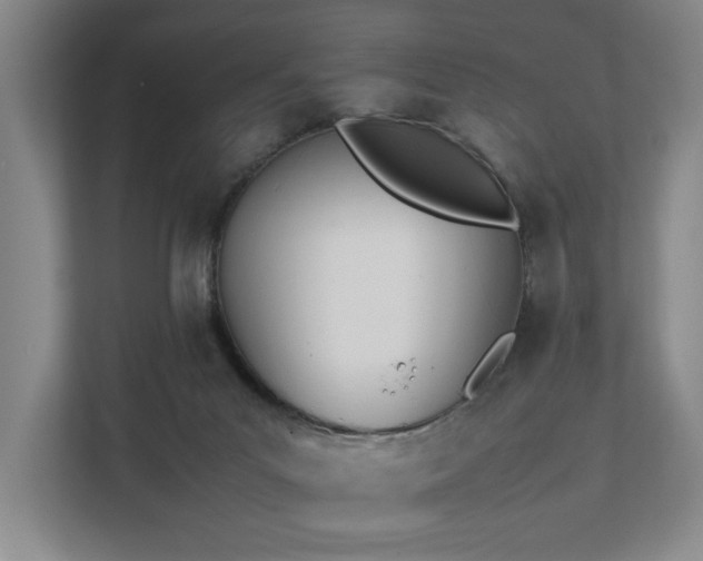 X0000111780023200907231132