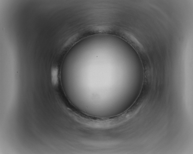 X0000111780024200907231132