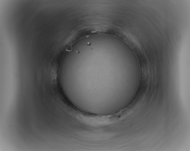 X0000111780032200907231132