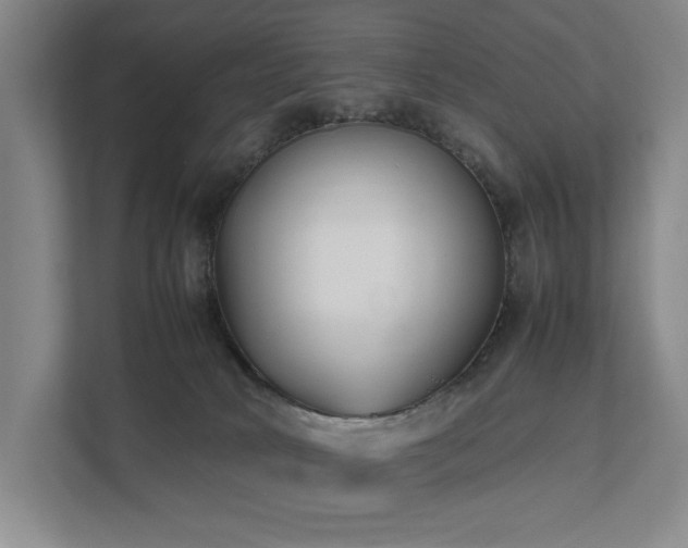 X0000111780034200907231132