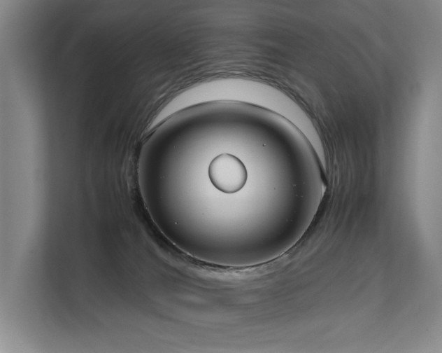 X0000111780036200907231132