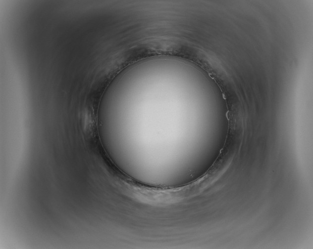 X0000111780040200907231131