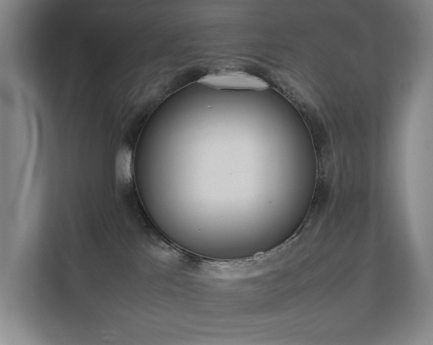 X0000111780041200907231131
