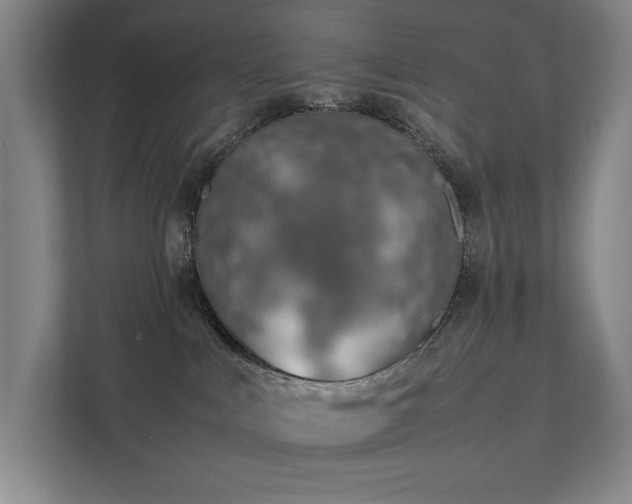 X0000111780043200907231131