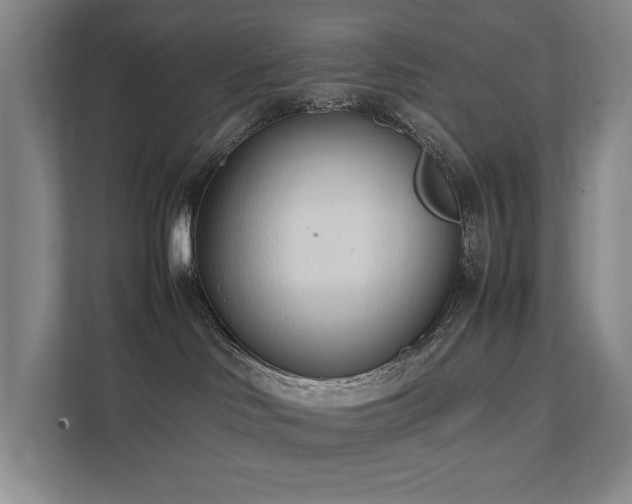 X0000111780046200907231131