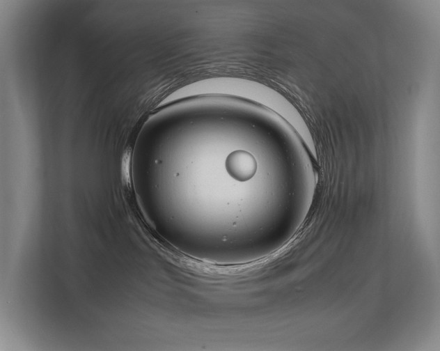X0000111780047200907231131