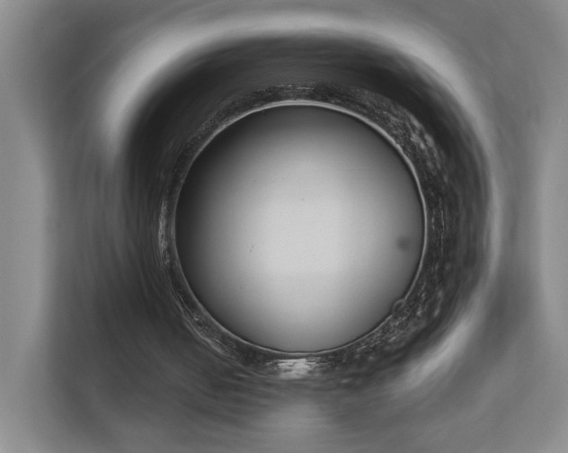X0000111780050200907231131