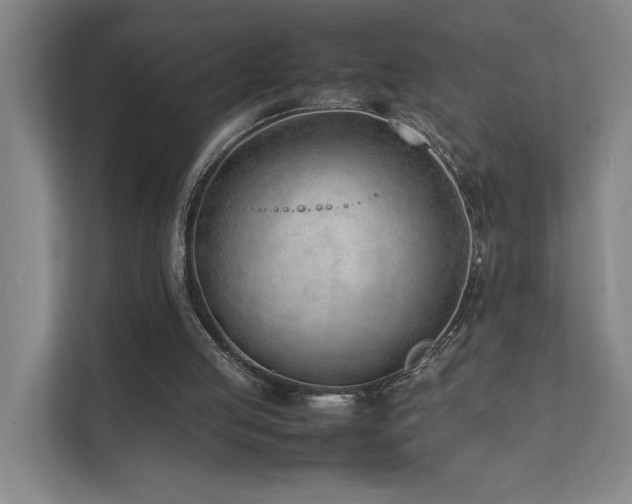 X0000111780053200907231131