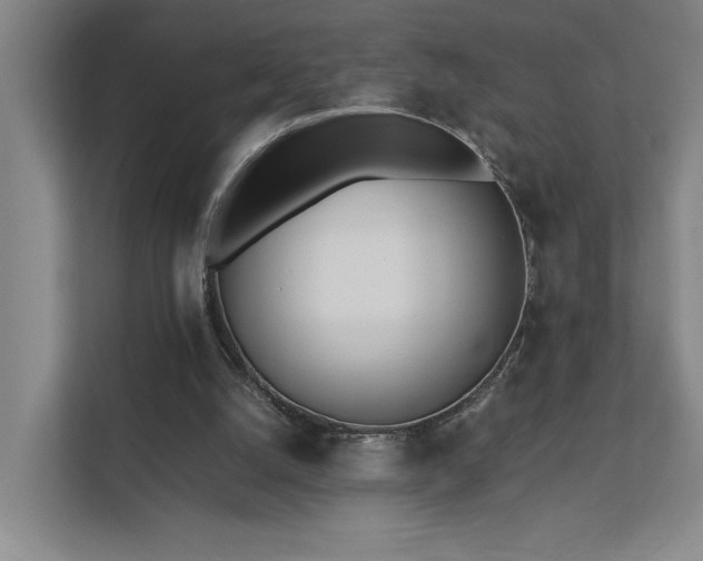 X0000111780056200907231131