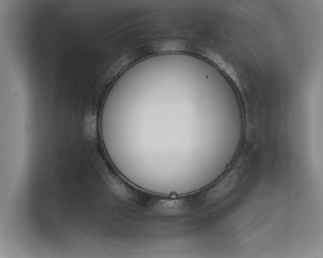 X0000111780057200907231131