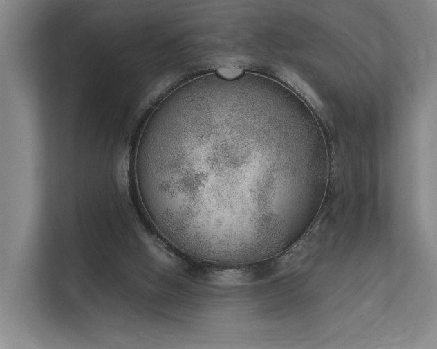 X0000111780058200907231131