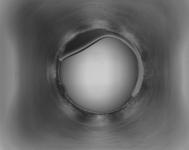 X0000111780060200907231131