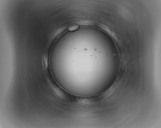 X0000111780062200907231131