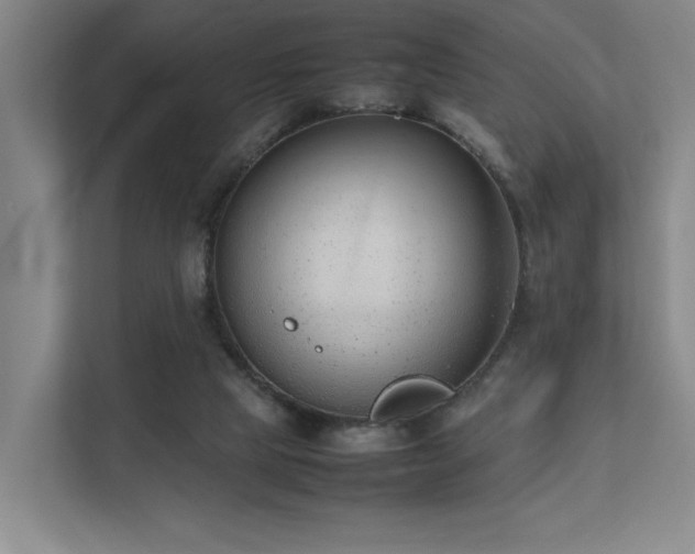 X0000111780065200907231131